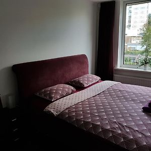 Zimmer mit Kingsize-Bett